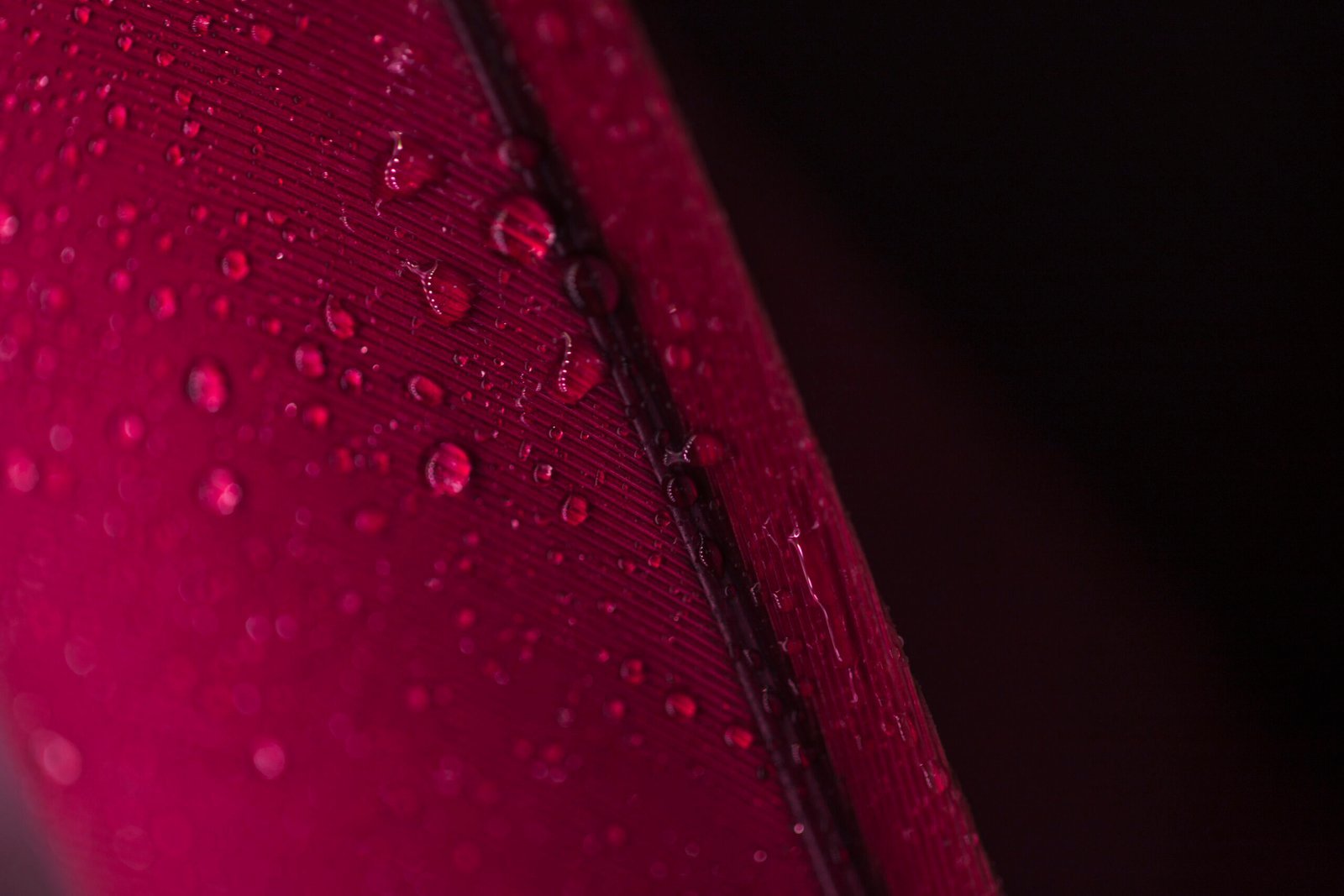 Conheça nossos produtos